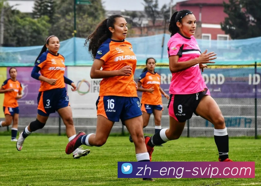 B体育官网发展历程